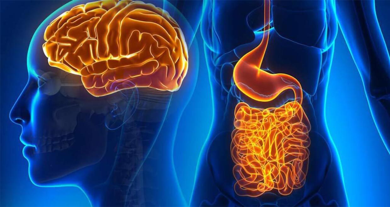 Giấc ngủ ổn định giúp trục não ruột hoạt động cân bằng hơn