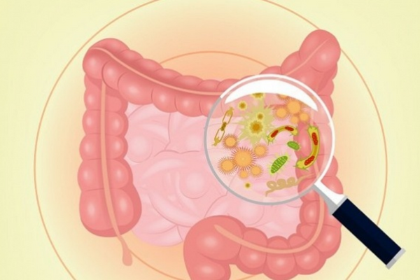 Căng thẳng kéo dài làm giảm lợi khuẩn, gây rối loạn tiêu hóa và táo bón