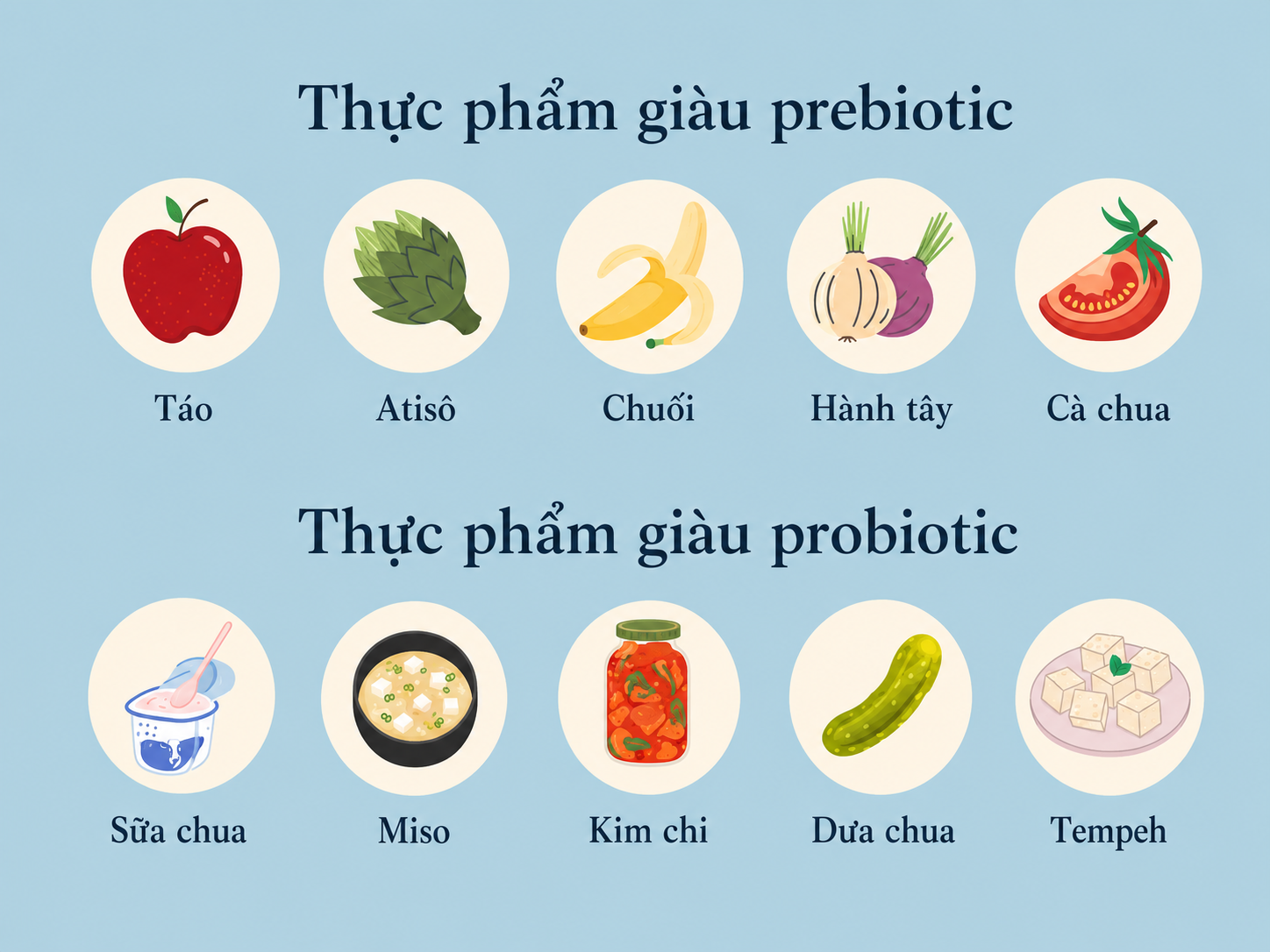 Prebiotic và probiotic hỗ trợ hệ vi sinh đường ruột theo những cách khác nhau